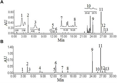 A Diol-Based-Matrix Solid-Phase Dispersion Method for the Simultaneous Extraction and Determination of 13 Compounds From Angelicae Pubescentis Radix by Ultra High-Performance Liquid Chromatography